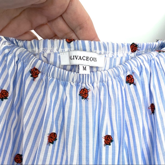 Olivaceous Crop Top BLOUSE Stripes Floral BLUE WHITE M - Picture 3 of 16